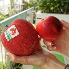 Яблоня Секаи Ши НОВИНКА!!! Яблоня Секаи Ши НОВИНКА!!!
