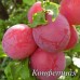 Слива Конфетная 